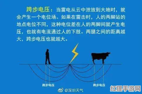 雷电将军被爆 羞羞网站引发热议，网友纷纷讨论其背后的真相与影响